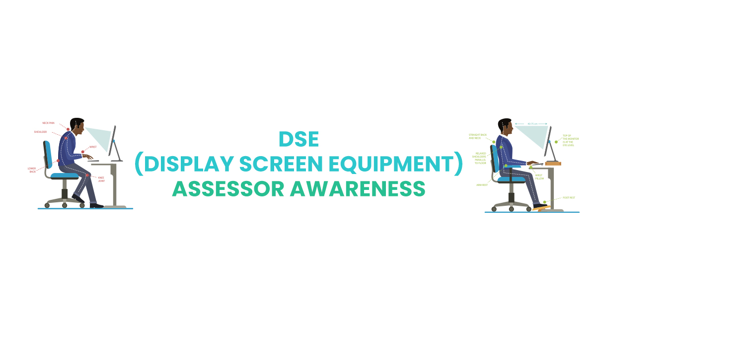 DSE (Display Screen Equipment) Assessor Awareness